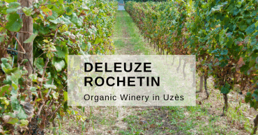 organic Winery