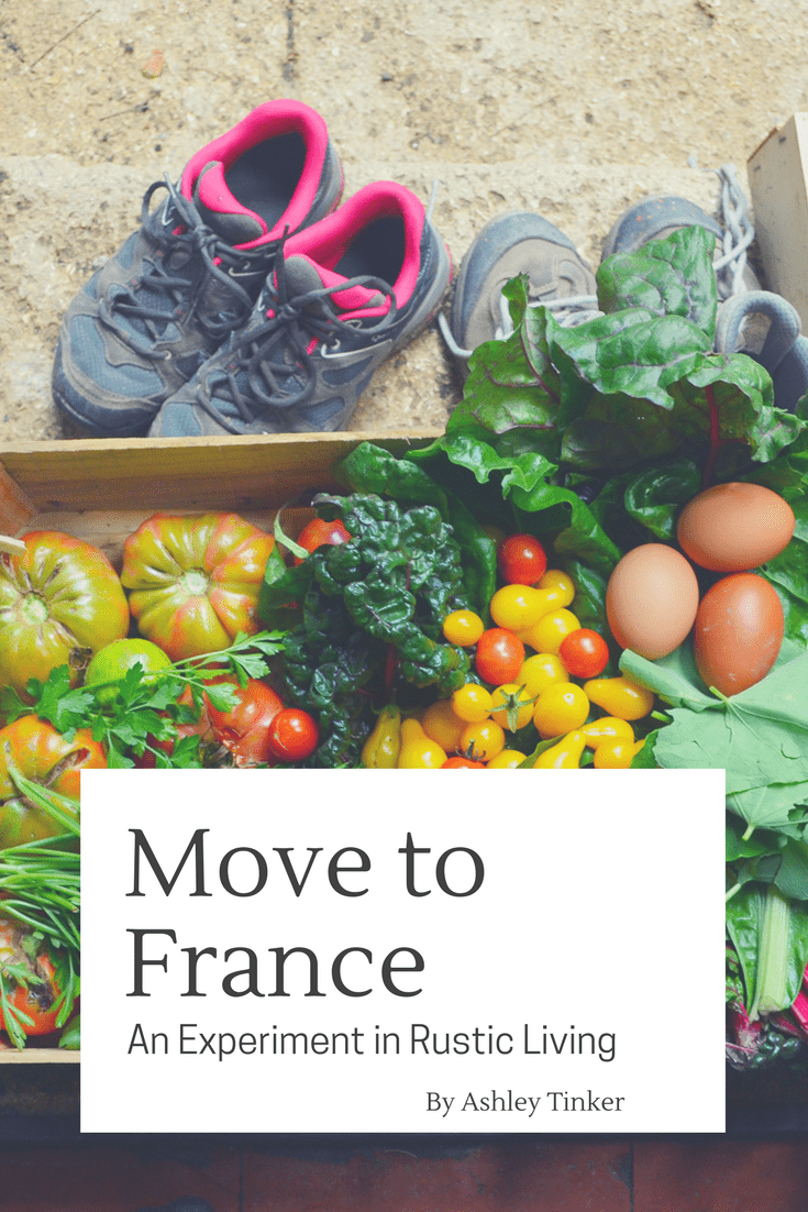 Move to France