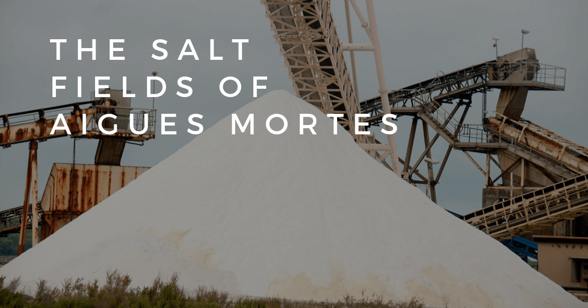 Salt fields of Aigues Mortes
