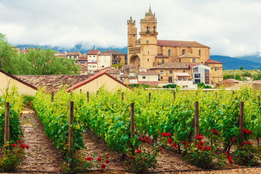 best-spanish-wines-website picture horizontal (845 × 564px) - rioja