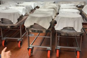 The Majestic Parmesan Cheese: From Origin to Aging