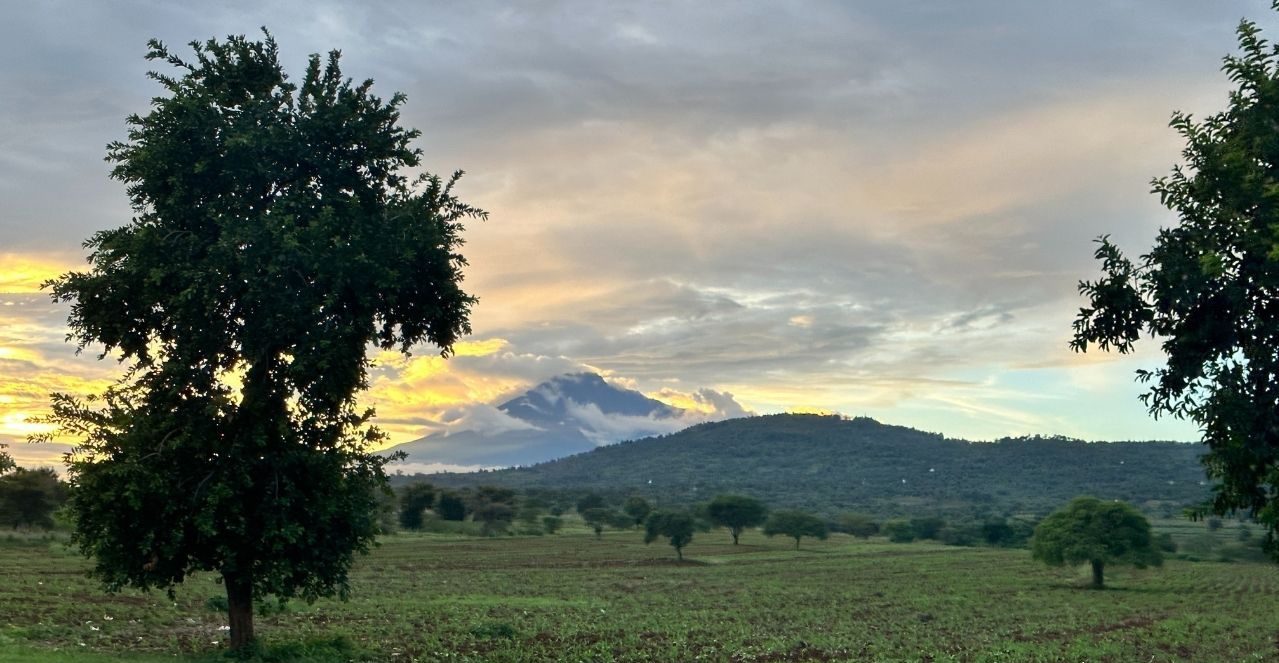 Mount Kilimanjaro at sunrise, viewed from the farmland west of Moshi, Tanzania.