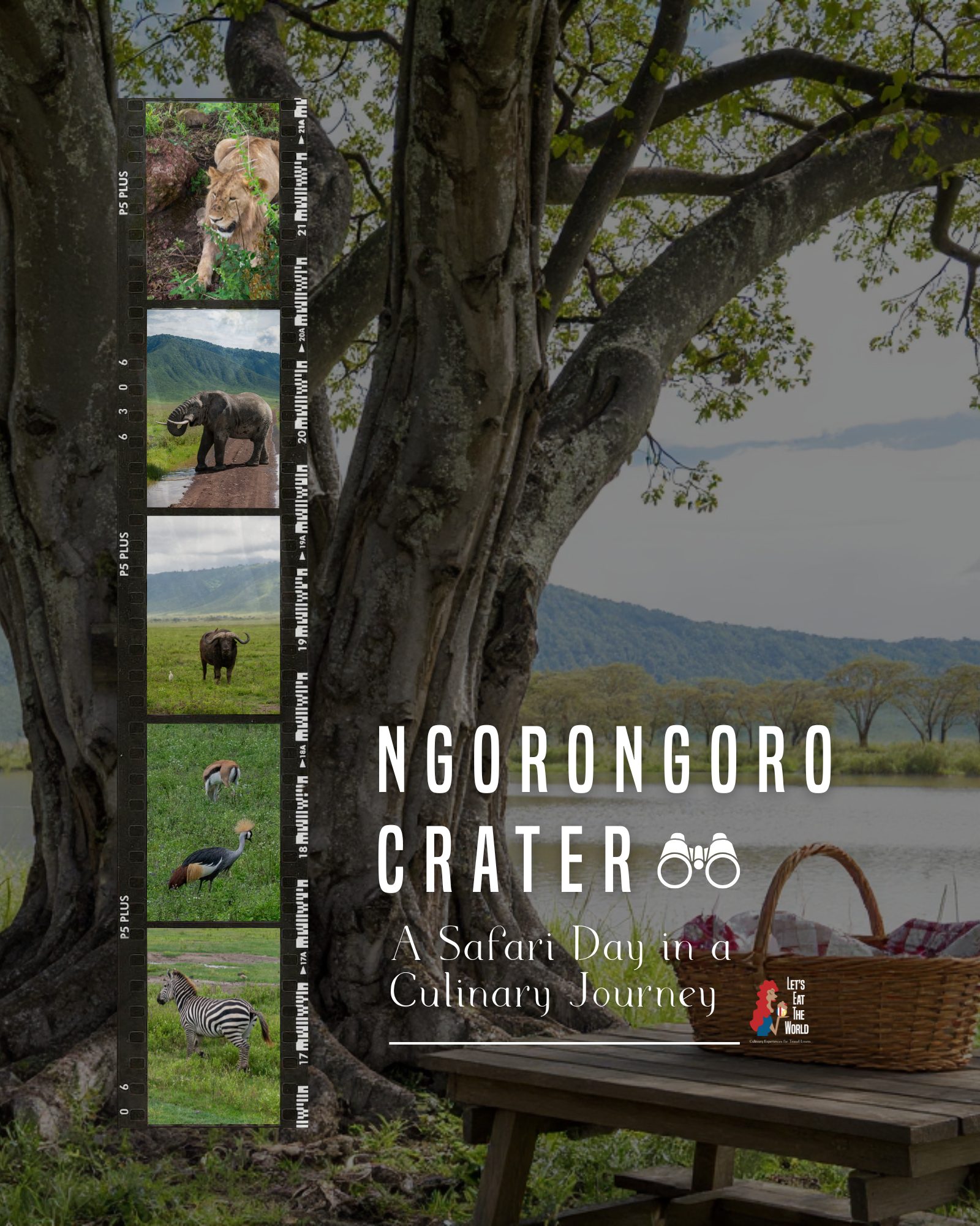 Tree with picnic basket in Ngorongoro Crater, with safari animal film strip overlay.