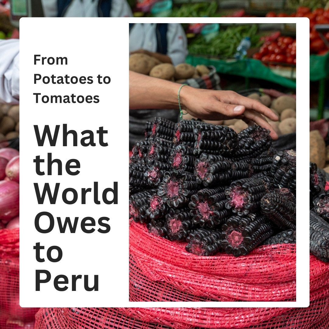 What the world owes Peru