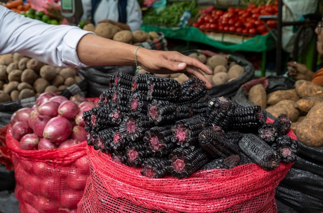 Black Peruvian Corn Surquillo Market Lima