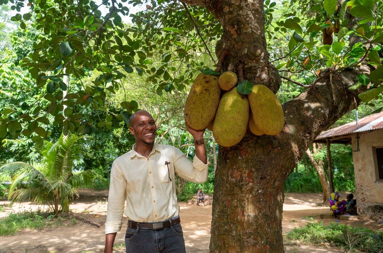 Masoud showing us jackfruit