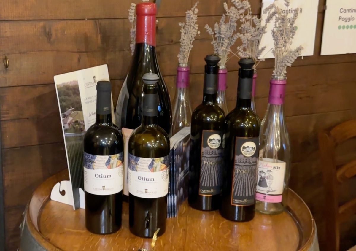 Cantina Poggio Winery bottles