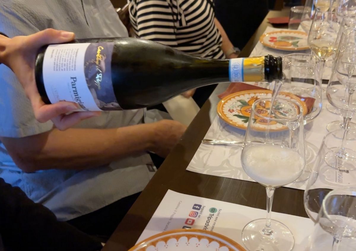 Parmigianino malvasia