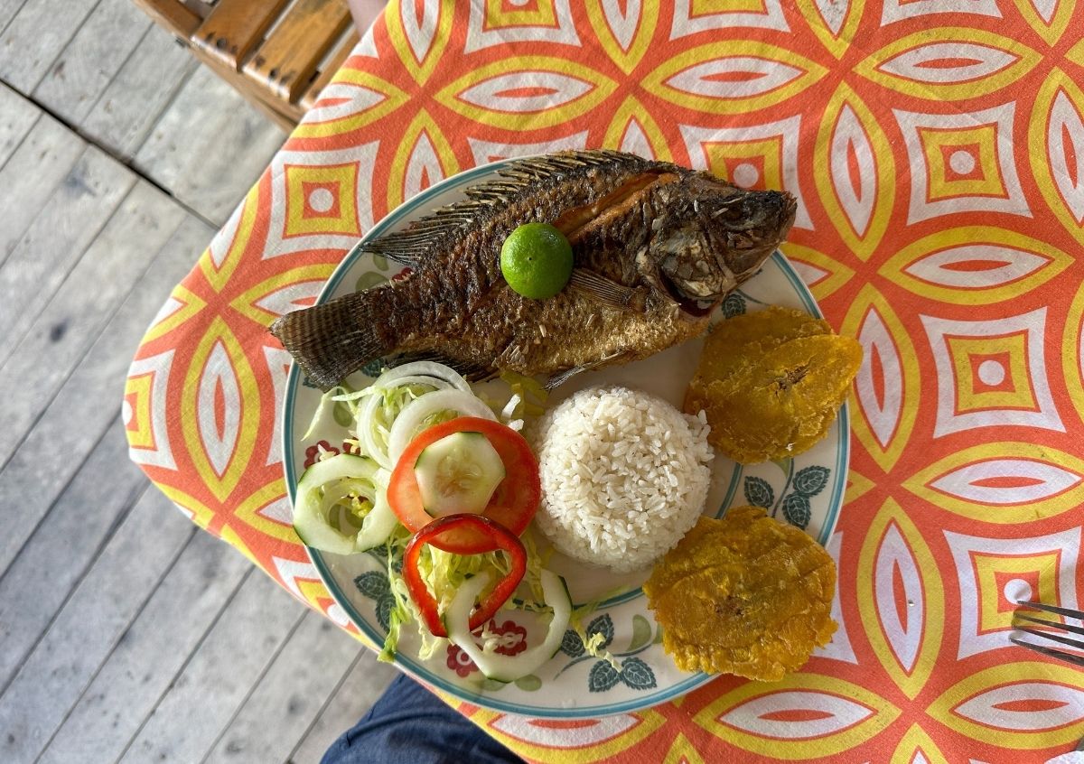Colombian Coconut rice and fish