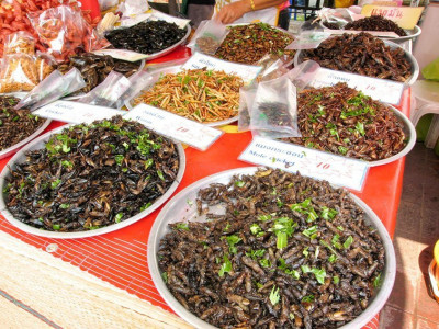 Fried insects anyone? In Chiang Mai, Thailand Fried insects