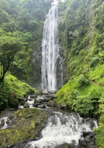 Scenic view of Materuni Waterfalls near Moshi, surrounded by lush greenery