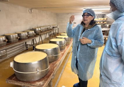 Parmesan cheese factory tour with expert guide