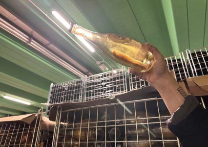 Organic natural wine experience in Italy